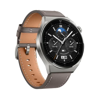 Watch GT 3 Pro Titanium 46mm Gray Leather (55028467)