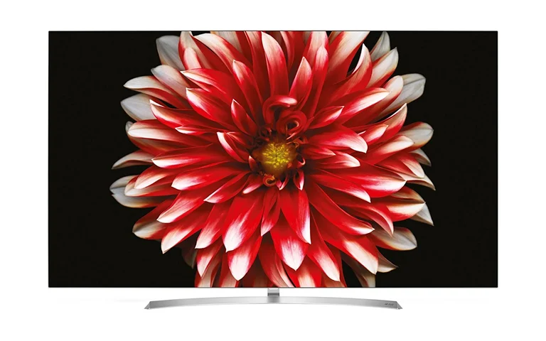 LG 55 Zoll OLED TV 