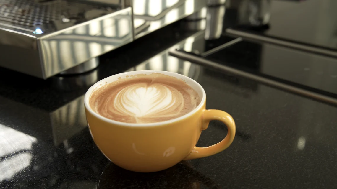 Cappuccino gelingt auch mit fast allen Siebträgermaschinen. Eingebaute Dampflanzen lassen dich Milch oder Milchalternativen schnell und einfach erhitzen. 